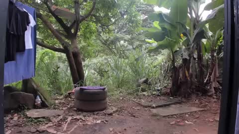 venus ... zeus sheer  online show from 03-03-25, 01:31