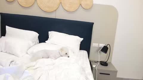 Violetta  online show from 11-09-25, 02:32