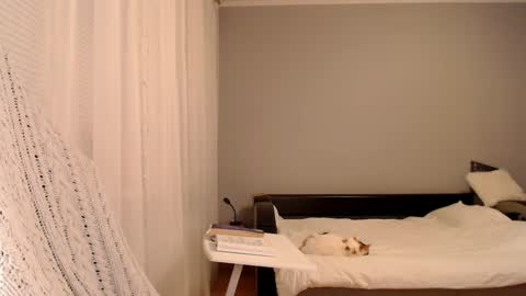 Snapshot of vibezgirl chatting on 02-05-25, 05:09 Amelia online show from 02-05-25, 05:09