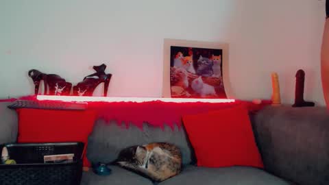 vicky_gill_ online show from 10-17-25, 07:49