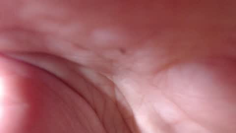 VictoryVega online show from 09-11-25, 07:52