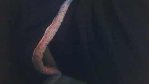 Snapshot of vicvictoree chatting on 12-14-25, 02:06 vicvictoree online show from 12-14-25, 02:06