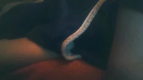 vicvictoree online show from 02-22-26, 10:41