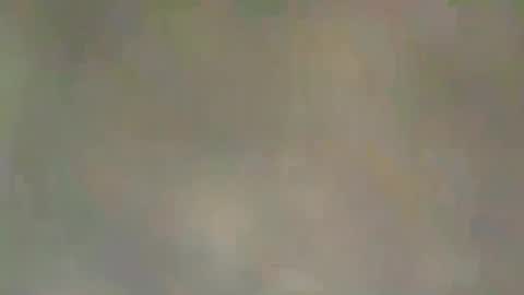 Snapshot of viennaguy79 chatting on 03-03-26, 07:47 viennaguy79 online show from 03-03-26, 07:47