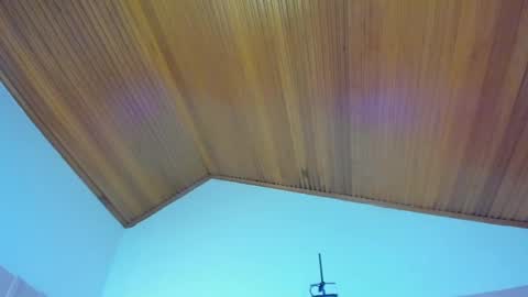 Viiolett online show from 12-28-24, 07:43