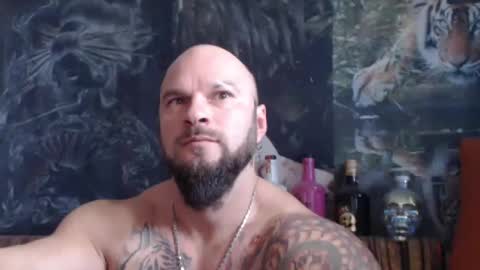 viking online show from 11-07-25, 10:26