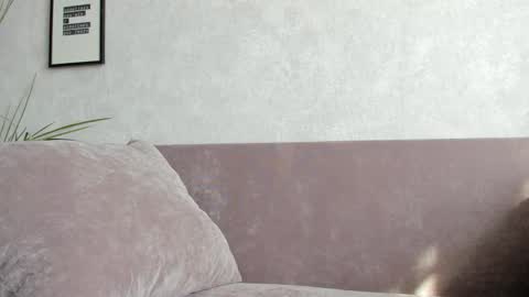 Vincent.  uncut 18cm online show from 09-10-25, 11:32