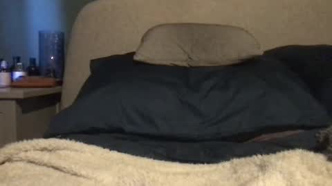 Vinny online show from 03-03-25, 11:00