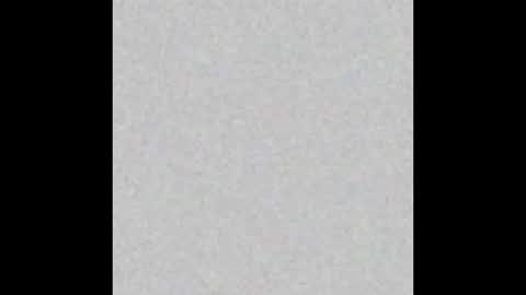 VIOLETA AND MAXX online show from 11-24-25, 11:04