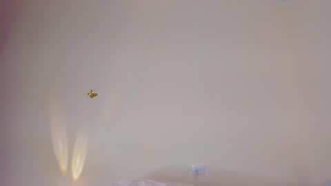 violett_24_ online show from 11-29-25, 11:30