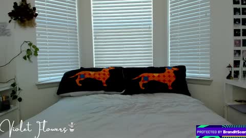 Snapshot of violetttflowers chatting on 01-05-25, 06:13 Violet Flowers online show from 01-05-25, 06:13