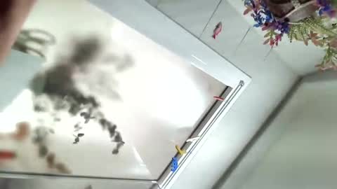 Snapshot of vivid_ether chatting on 12-06-24, 11:54 Viv online show from 12-06-24, 11:54