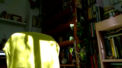 Snapshot of vivid_ether chatting on 10-27-25, 12:09 Viv online show from 10-27-25, 12:09