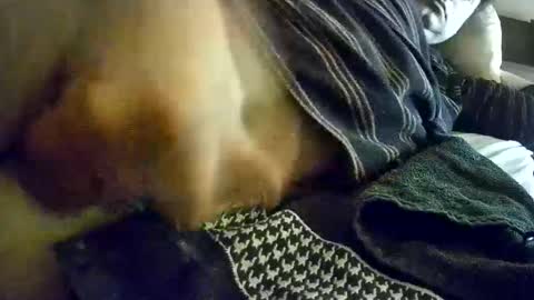 vleeslollie2024 online show from 01-13-25, 07:21