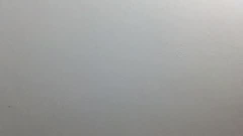 volentic online show from 10-09-25, 12:14