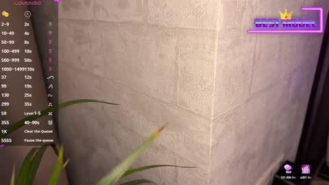 Walt Enjoy online show from 02-01-25, 08:26