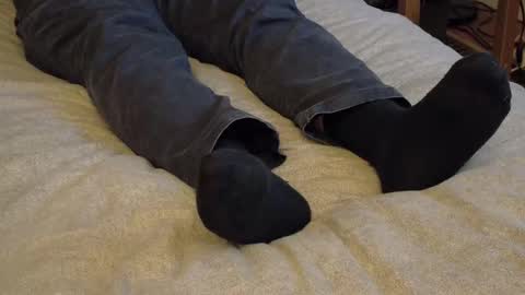 Snapshot of waltsobchak chatting on 01-15-26, 03:44 I love the ol in-n-out online show from 01-15-26, 03:44