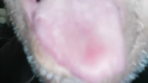 Snapshot of wayne1311 chatting on 01-23-25, 04:26 wayne1311 online show from 01-23-25, 04:26