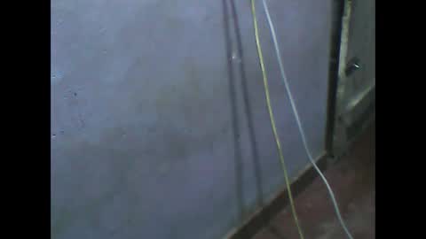 Snapshot of wela123456 chatting on 11-01-25, 01:02 wela123456 online show from 11-01-25, 01:02