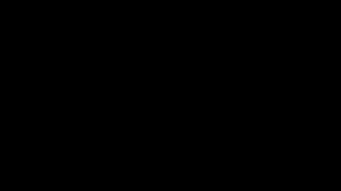 wellingtont online show from 02-01-26, 11:36