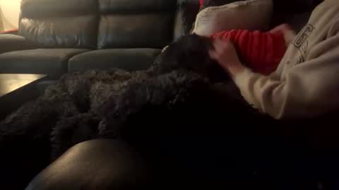 wellocal online show from 12-21-25, 08:05