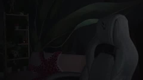 Snapshot of wesleegray chatting on 11-04-25, 12:54 little girl who is always rightLisa online show from 11-04-25, 12:54