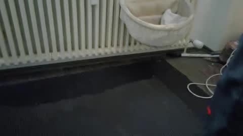 Snapshot of wetgerman2 chatting on 03-11-25, 03:45 Wetgerman online show from 03-11-25, 03:45