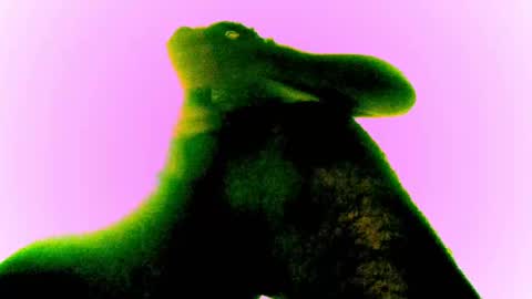 whatsexo online show from 02-28-25, 12:54