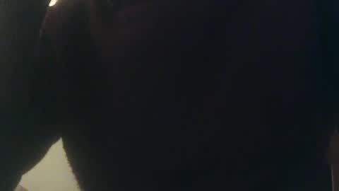 Snapshot of whiteduke81 chatting on 01-03-25, 12:33 Whiteduke online show from 01-03-25, 12:33