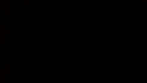 whitehead_lion online show from 03-01-25, 09:15