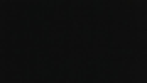 whitehead_lion online show from 11-06-25, 11:59