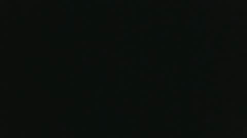 whitehead_lion online show from 11-14-25, 06:17