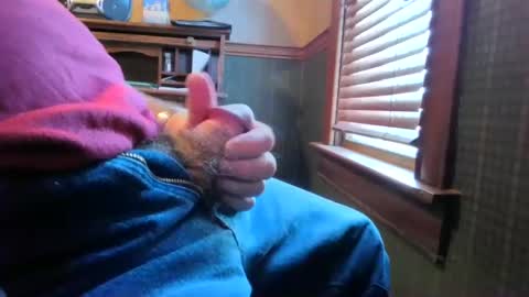 whydog online show from 03-01-25, 03:05