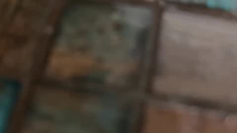 VI online show from 02-10-26, 10:19