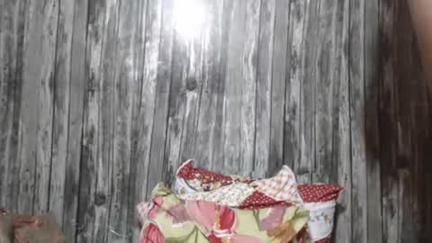 wild_ass_zessa online show from 11-27-25, 12:07