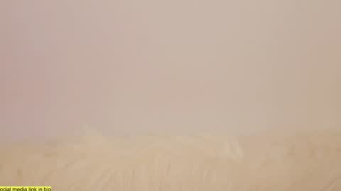 Snapshot of wild_schoolgirl chatting on 01-13-25, 10:24 wild_schoolgirl online show from 01-13-25, 10:24