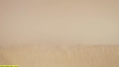 Snapshot of wild_schoolgirl chatting on 01-18-25, 09:45 wild_schoolgirl online show from 01-18-25, 09:45