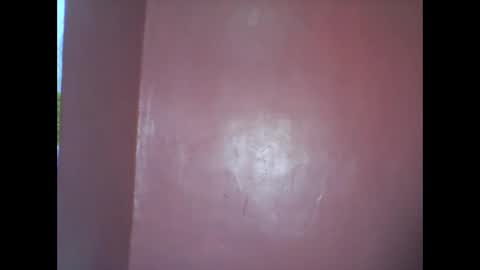 wild_sunflower11 online show from 12-08-24, 03:43