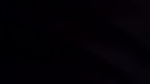 wildara online show from 12-02-25, 11:11