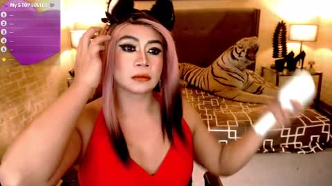 wildtransjhade online show from 01-11-25, 02:15