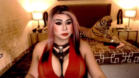 wildtransjhade online show from 01-19-25, 06:43