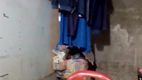 wildveron_205 online show from 12-17-25, 12:33