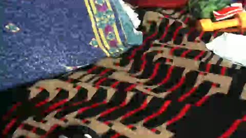 Willamyth online show from 02-18-25, 08:49