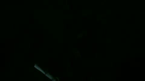 Willhedoher online show from 09-11-25, 11:43