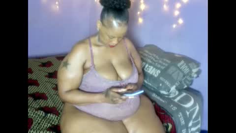 wilmaassylum online show from 01-08-26, 07:43