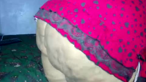 wilmaassylum online show from 03-04-26, 06:41