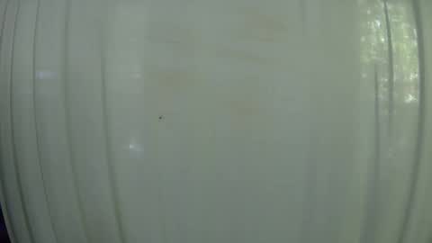 Snapshot of withbothhandsplease chatting on 10-07-25, 07:55 Mater online show from 10-07-25, 07:55