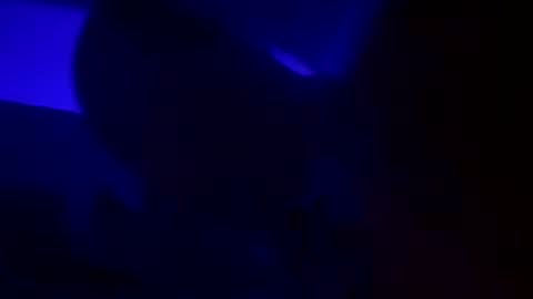 Snapshot of wolf41xxx chatting on 12-15-24, 05:13 WolfX online show from 12-15-24, 05:13