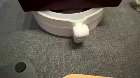 Snapshot of wolf41xxx chatting on 09-17-25, 11:39 WolfX online show from 09-17-25, 11:39