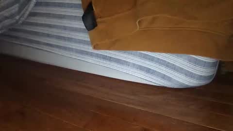 Snapshot of wolfyi chatting on 12-16-24, 01:10 Sultan Blaze online show from 12-16-24, 01:10